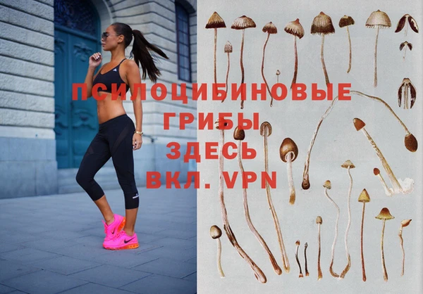 кокаин премиум Верея