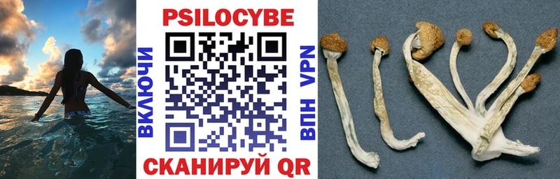 Псилоцибиновые грибы прущие грибы  купить наркоту  Бугульма 